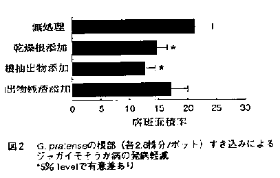 図2.G.pratenseの根部すき込みによるジャガイモそうか病の発病軽減