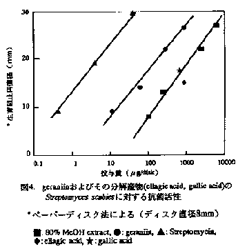 図4.