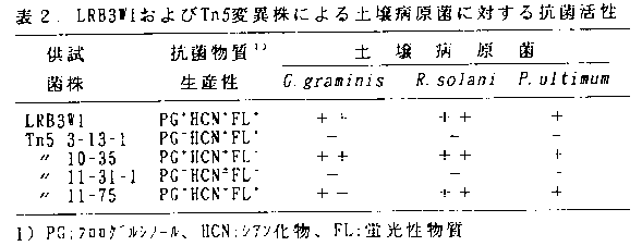 表2.LRB3W1およびTn5変異株による土壌病原菌に対する抗菌活性