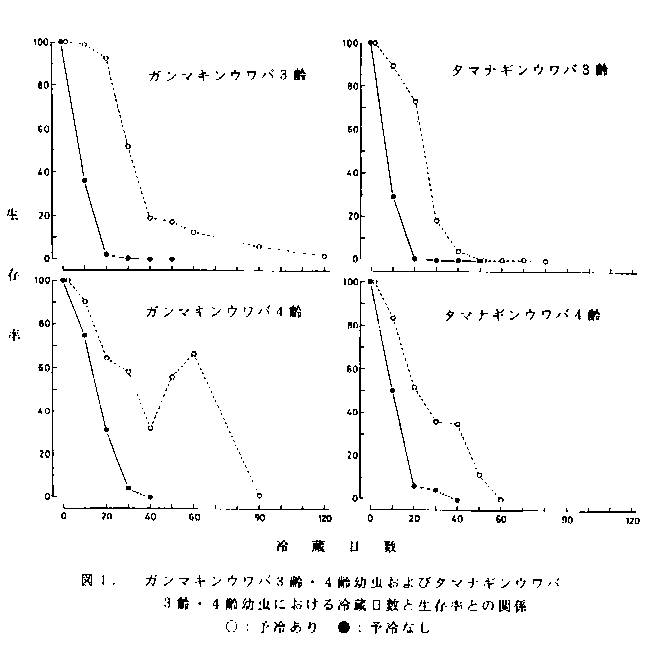 図1.ガンマキンウワバ3齢・4齢幼虫およびタマナギンウワバ3齢・4齢幼虫における冷蔵日数と生存率との関係