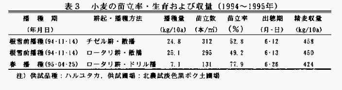 表3 小麦の苗立ち率・生育および収量