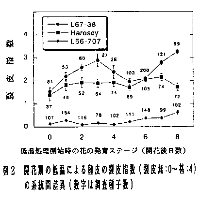 図2 開花期の低温による種皮の裂皮指数