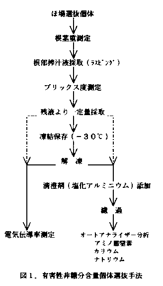 図1 有害性非糖英文分含量個体選抜法