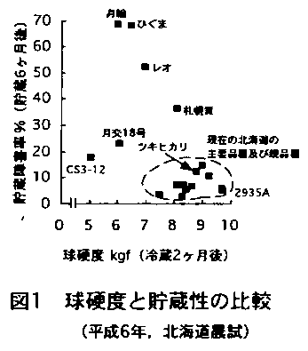 図1 球硬度と貯蔵性の比較