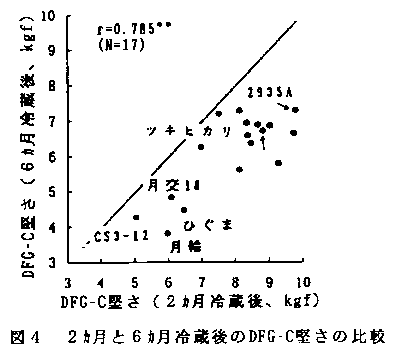 図4 2ヶ月と6ヶ月冷蔵後のDFG-C堅さの比較