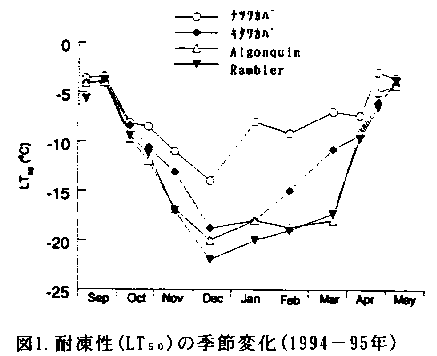 図1 耐凍性の季節変化