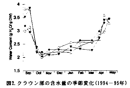 図2 クラウン部の含水量の季節変化