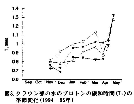 図3 クラウン部の水のプロトンの緩和時間の季節変化