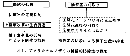 図1 アメリカオニアザミの耕種的防除法の概要