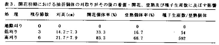 表3 開花初期における抽台固体の刈取りがその後の着蕾・開花、登熟および種子生産数に及ぼす影響