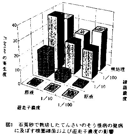 図1 石英砂で栽培したてんさいのそう根病の発病に及ぼす根圏細菌及び遊走子濃度の影響