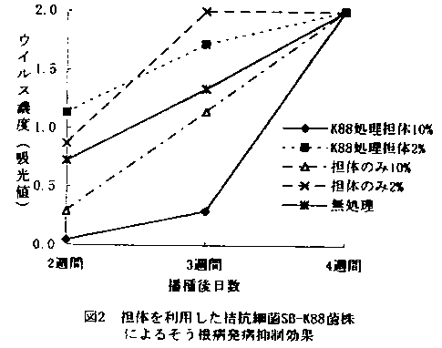 図2 担体を利用した拮抗細菌SB-K88菌株によるそう根病発病抑制効果