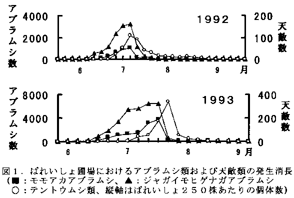 図1 ばれいしょ圃場におけるアブラムシ類および天敵類の発生消長