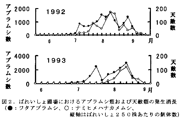 図2 ばれいしょ圃場におけるアブラムシ類および天敵類の発生消長