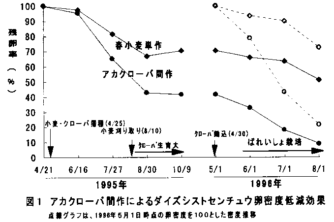 図1 アカクローバ間作によるダイズシストセンチュウ卵密度低減効果