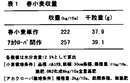 表1 春小麦収量