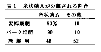 表1 糸状菌Aが分離される割合