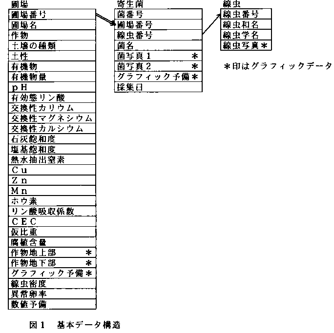 図1 基本データ構造