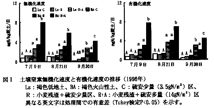 図1 土壌窒素無機化速度と有機化速度の推移