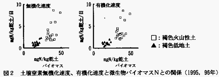 図2 土壌窒素無機化速度、有機化速度と微生物バイオマスNとの関係
