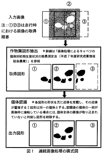 図1.連続画像処理の模式図