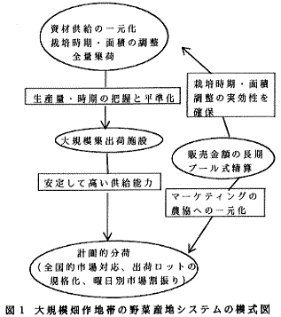 図1.大規模畑作地帯の野菜産地システムの模式図