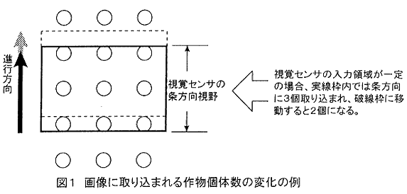 図1.画像に取り込まれる作物個体数の変化の例