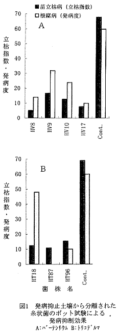 図1.発病抑止土壌から分離された糸状菌のボット試験による発病抑制効果