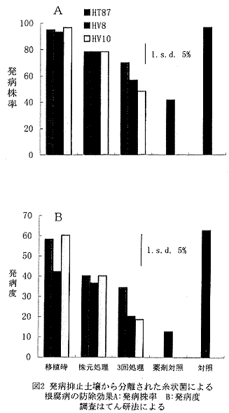 図2.発病抑止土壌から分離された糸状菌による根腐病の防除効果