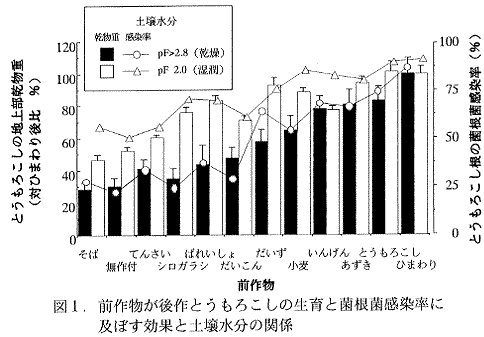 図1.前作物が後作とうもろこしの生育と菌根菌感染率に及ぼす効果と土壌水分の関係