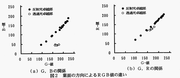 図2 葉面の方向によるRGB値の違い