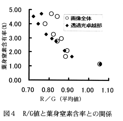 図4 R/G値と葉身窒素含率との関係