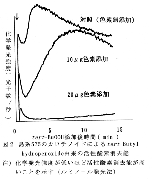 図2 島系575のカロチノイドによるtert-butyl hydraoerizude由来の活性酸素教書
