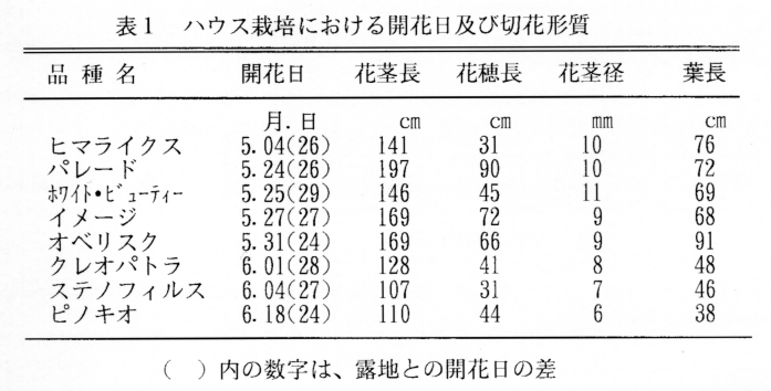 表1 ハウス栽培における開花日および切り花形質