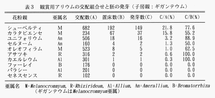 表3 観賞用アリウムの交配組合せと胚の発芽