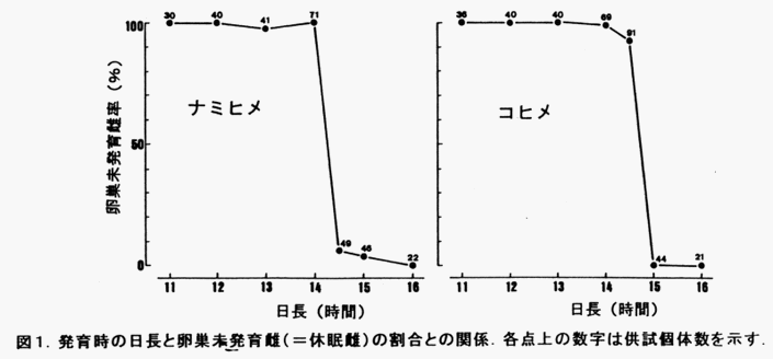 図1 発育時の日長と卵巣未発達雌(=休眠雌)の割合との関係