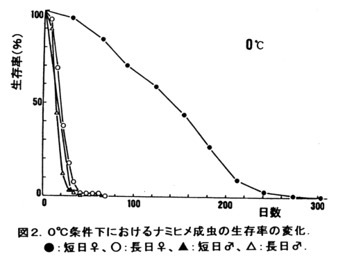 図2 0°C条件下におけるナミヒメ成虫の生存率の変化