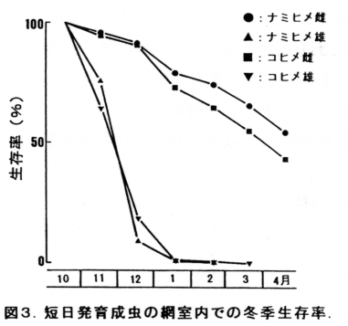 図3 短日発育成虫の網室内での冬期生存率