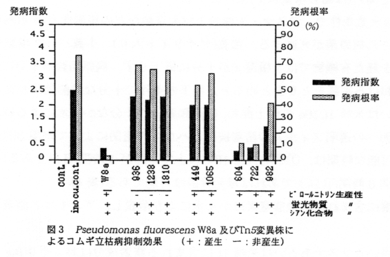 図3 Pseudomonas Fluorescens W8a及びTn5異変株によるコムギ立枯病抑制効果