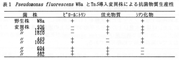 表1 Pseudomonas flourescens W8aとTn5導入異変株による抗菌物質生産性