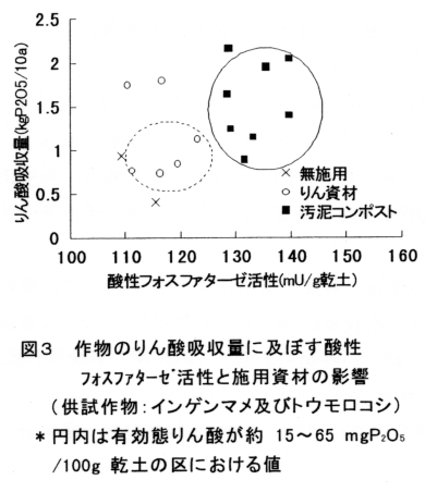 図3 作物のリン酸吸収量に及ぼす酸性フォスファターゼ活性と施用資材の影響