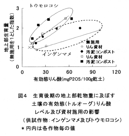 図4 生育後期の地上部乾物重に及ぼす土壌の有効態リン酸レベル及び資材施用の影響