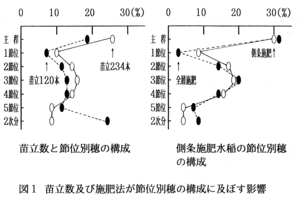 図1 苗立数及び施肥法が節位別穂の構成におよぼす影響