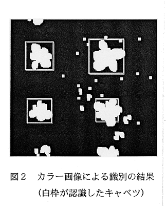 図2.カラー画像による識別の結果