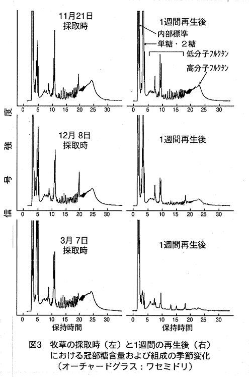 図3.牧草の採取時(左)と1週間の再生後(右)における冠部糖含量および組成の季節変化