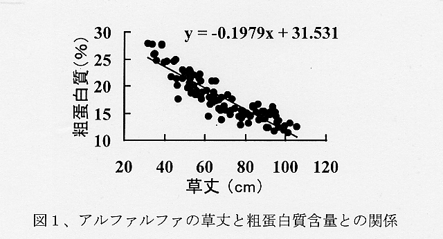図1.アルファルファ草丈と粗蛋白質含量との関係