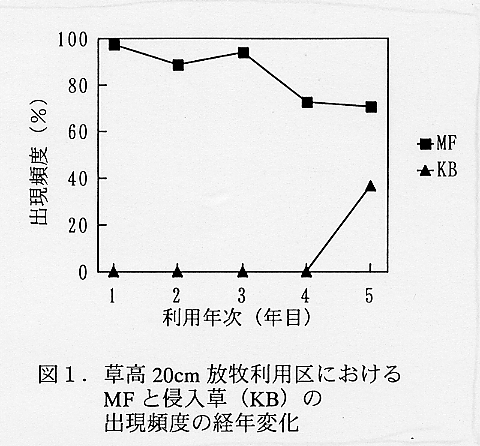 図1.草丈20cm放牧利用区におけるMFと侵入草(KB)の出現頻度の経年変化