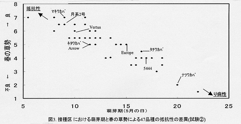 図3.接種区における萌芽期と春の草勢による47品種の抵抗性の差異(試験2)