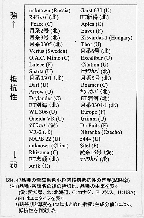 表4.47品種の雪腐黒色小粒菌核病抵抗性の差異(試験2)