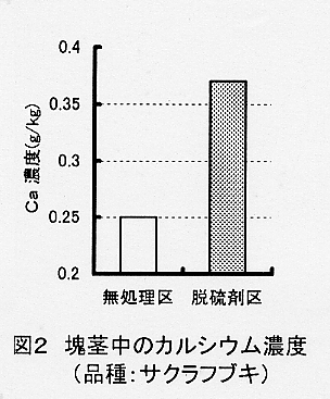 図2.塊茎中のカルシウム濃度